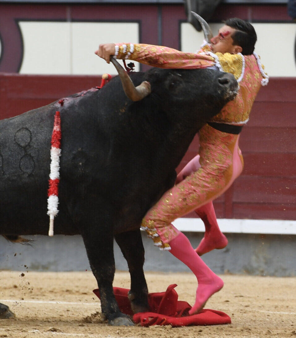 “Los toreros son héroes, pero lo de Ureña en Madrid superó lo imaginable”