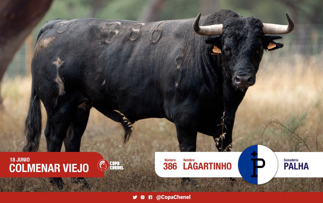 Los toros de Palha, Zacarías Moreno y Montealto para la final de la Copa Chenel