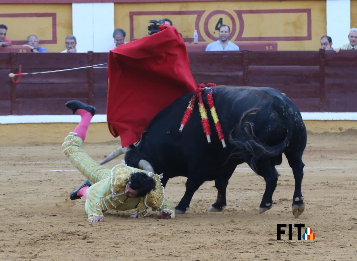 Morante, traumatismo torácico, trasladado para estudio radiológico