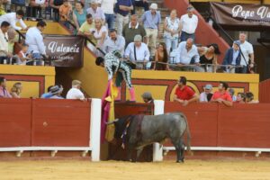 Veronés, el toro de Victorino Martín indultado este sábado en Algeciras. Foto: Eva Morales