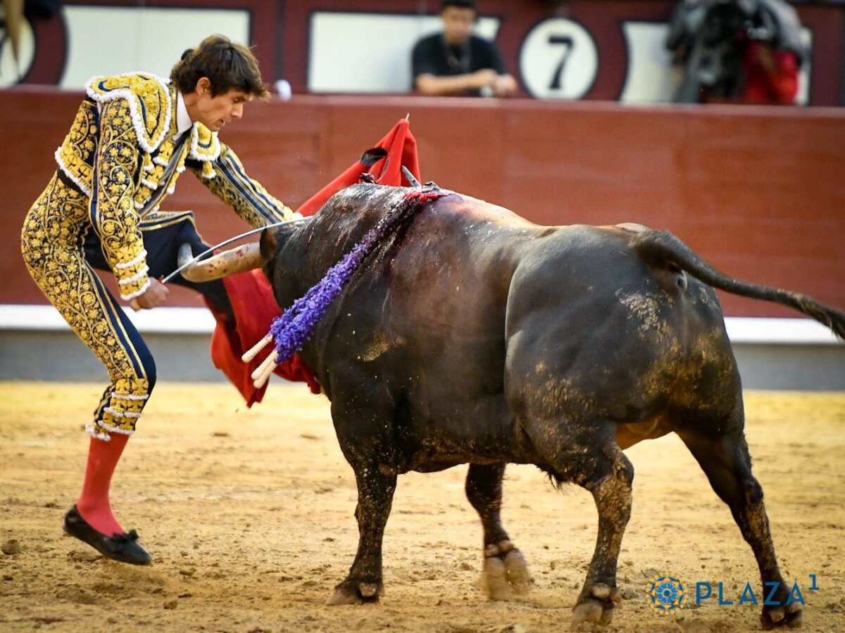 Castella, cornada grave de dos trayectorias en Las Ventas