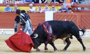 Foto: Antonio Vigueras