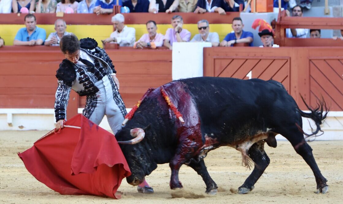 Juli y Roca, dos gallos en abierta competencia