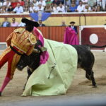 En Vila Franca de Xira, Morante sufrió una dura voltereta que le provocó la lesión. Foto: Joao Silva
