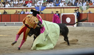 En Vila Franca de Xira, Morante sufrió una dura voltereta que le provocó la lesión. Foto: Joao Silva