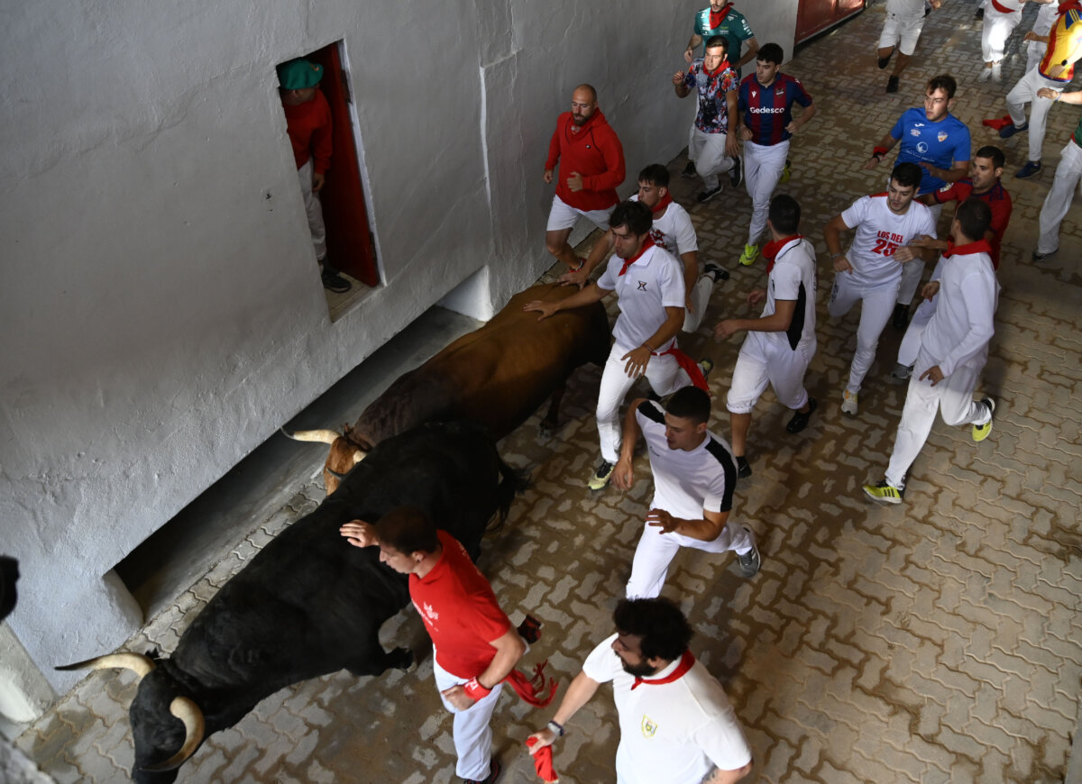 Foto: Javier Arroyo.