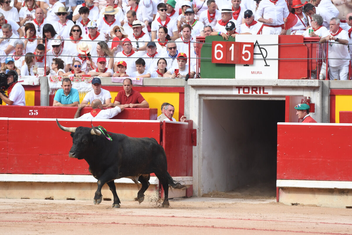 Domingo Hernández, novedad en el elenco ganadero de San Fermín 2024