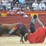 Alberto Donaire toreó así al natural. Foto: Mateo