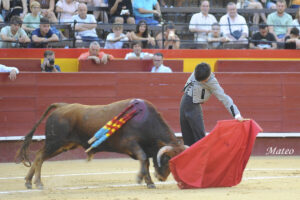 Alberto Donaire toreó así al natural. Foto: Mateo