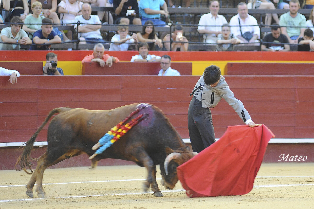 La clase de Donaire y la entrega de Casado brillan en Valencia