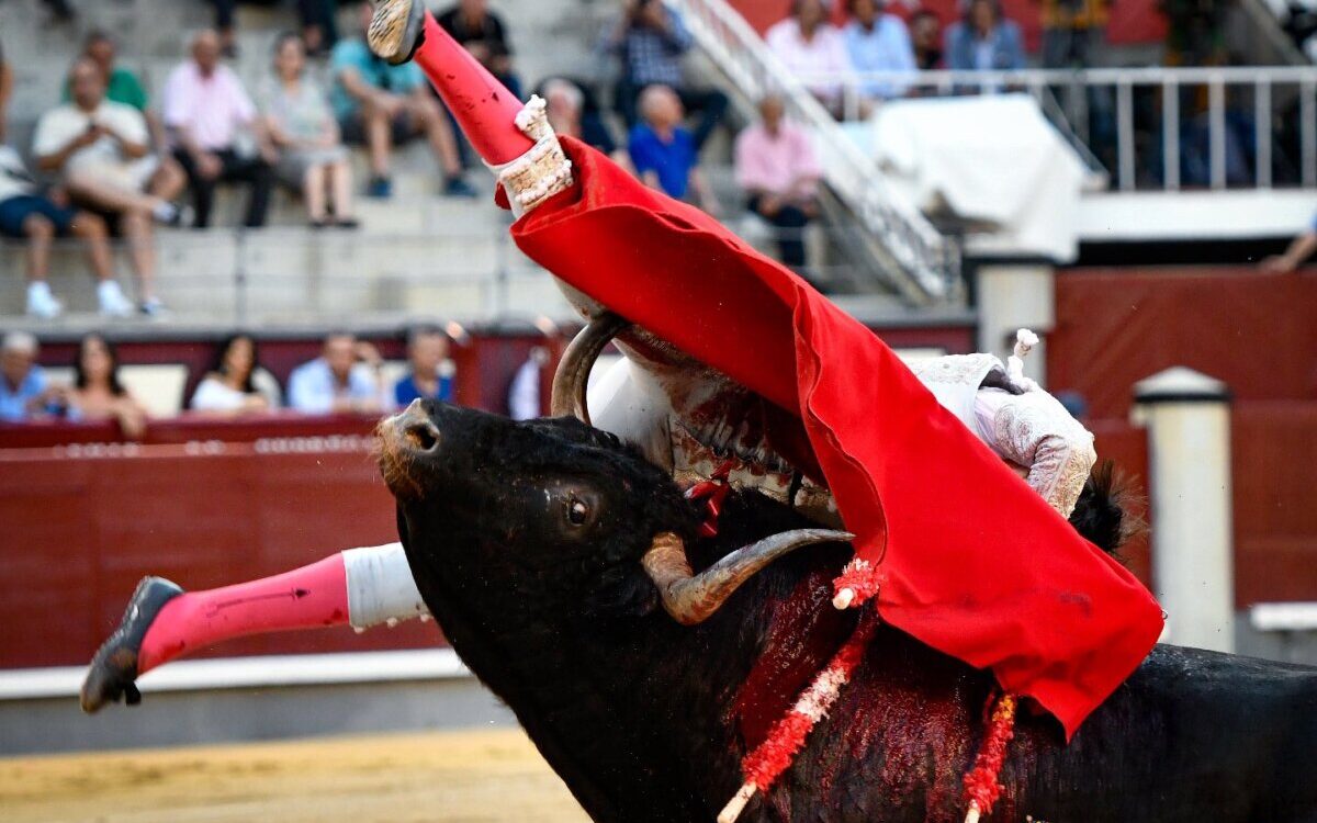Francisco José Espada, cornada de dos trayectorias de 15 y 20 cm en el muslo derecho