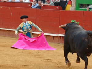 Fran Moreno, en su etapa de novillero en un festejo de la Feria de Julio de Valencia.