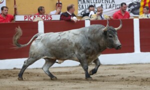 Foto: Phillipe Gil Mir