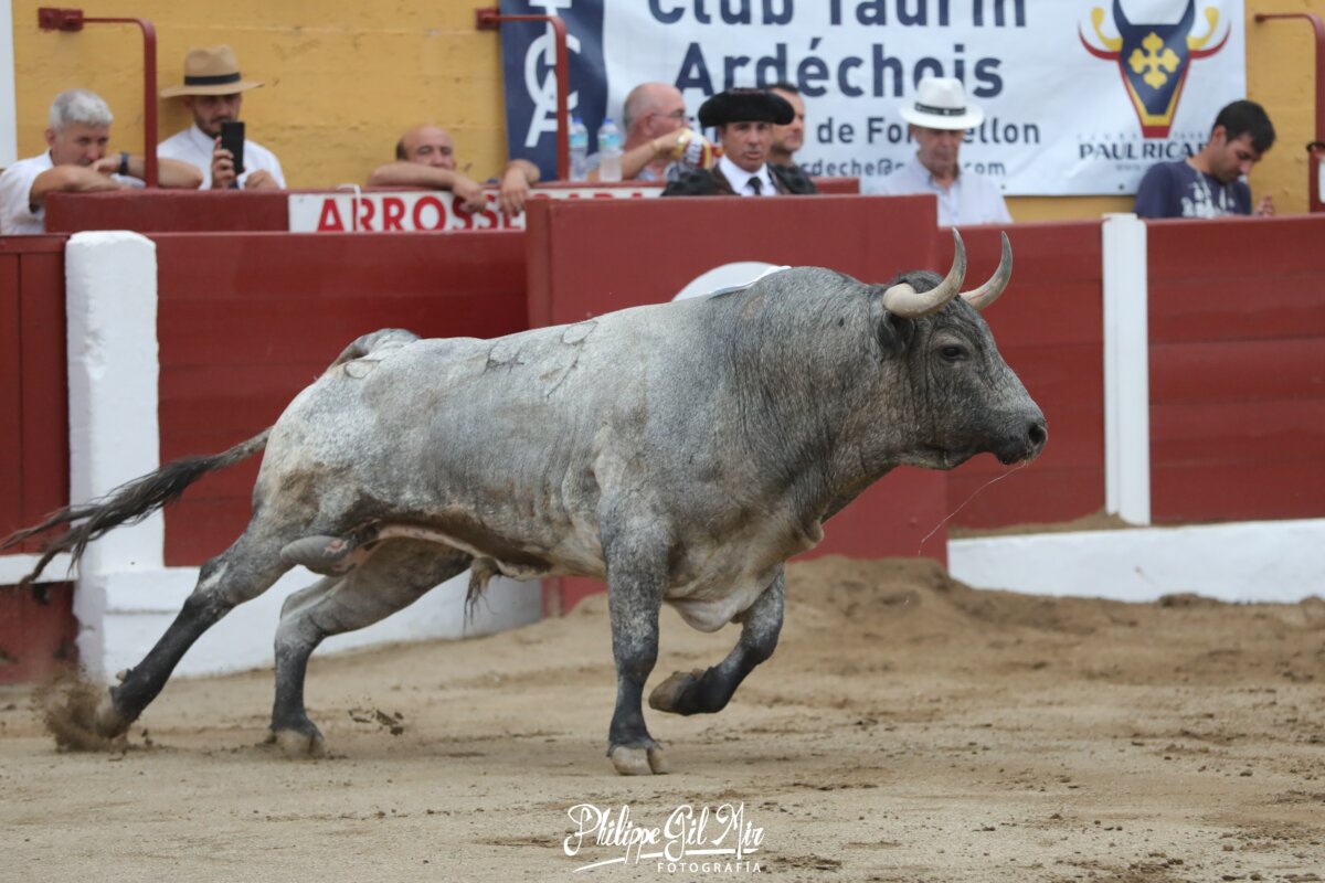 Ceret adelanta su feria torista al 6 y 7 de julio