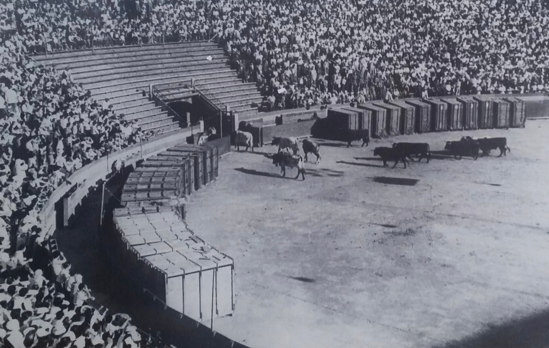 La desencaixonà y El Soro, dos pasiones en la Feria de Julio de Valencia