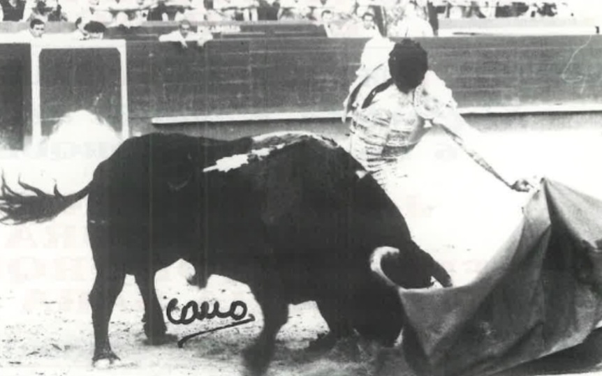 Un colosal Dámaso González indulta a Gitanito de Torrestrella en Valencia