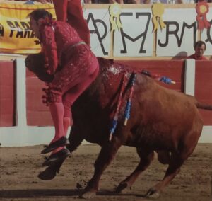 Foto: Pierre Charrain - Terres Taurines