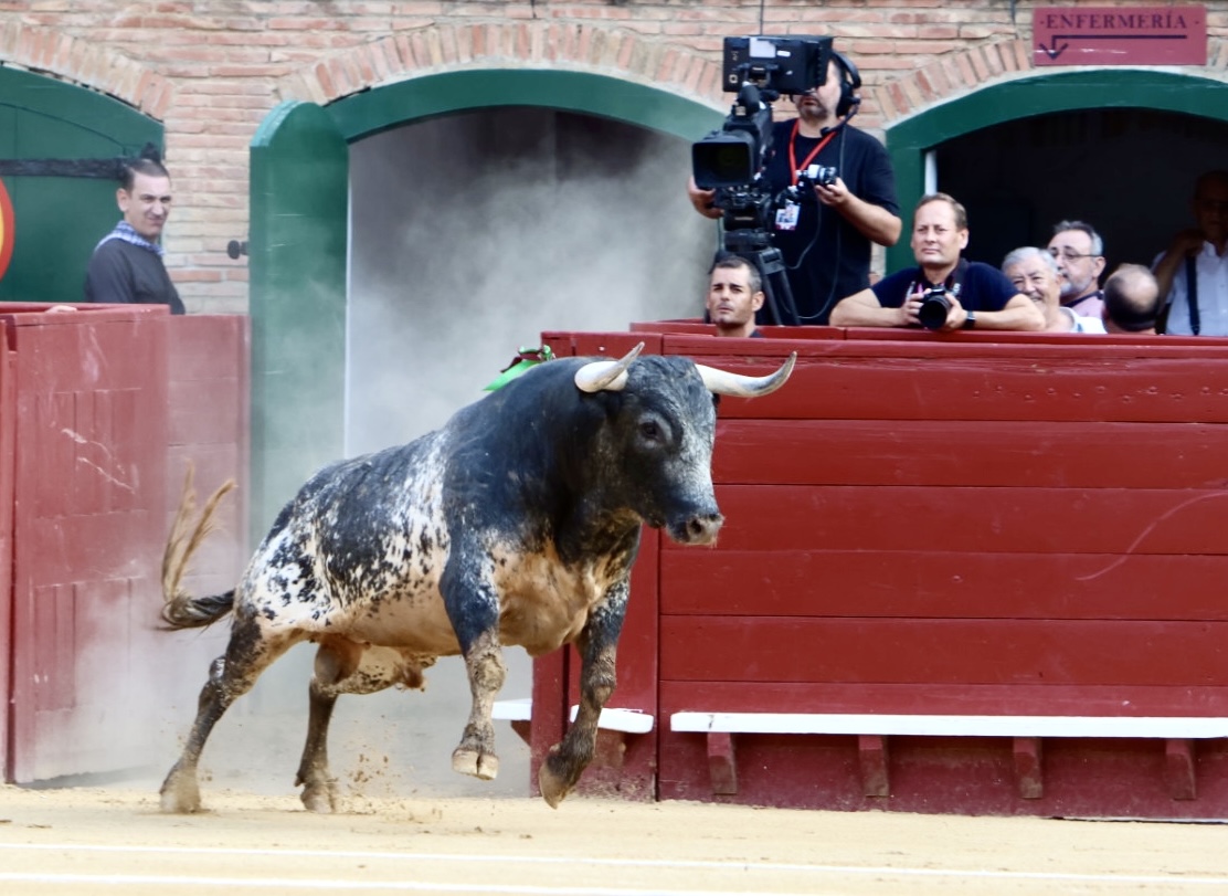 Vídeo de la miurada que ha cerrado la Feria de Julio