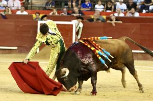 El novillero de Algemesí fue el protagonista triunfal. Foto: Antonio Vigueras