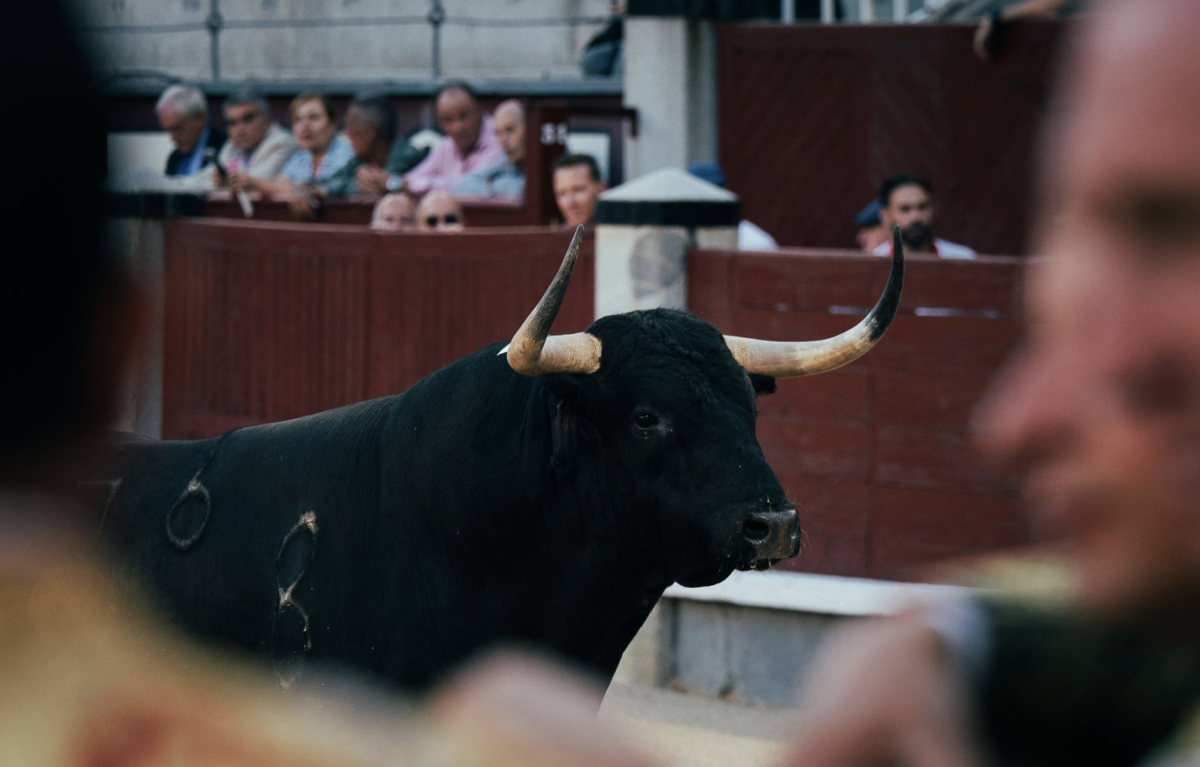 Las Ventas cierra los festejos para el mes de agosto