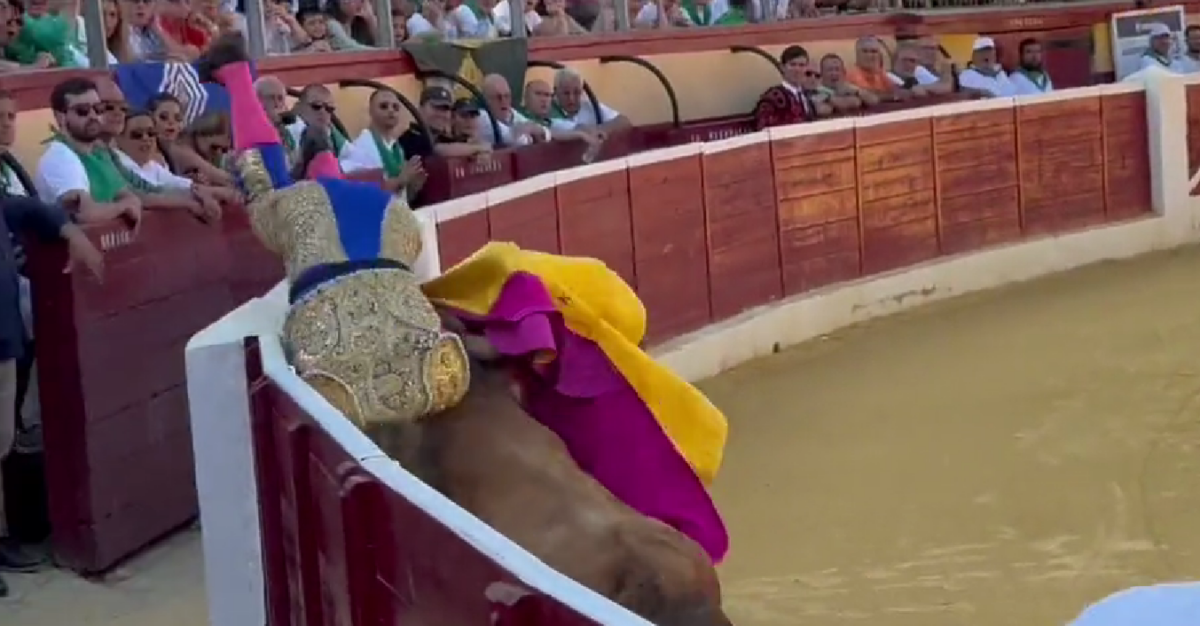 El Cordobés, "cornada grave de 20 cm en el Triángulo de Scarpa derecho"