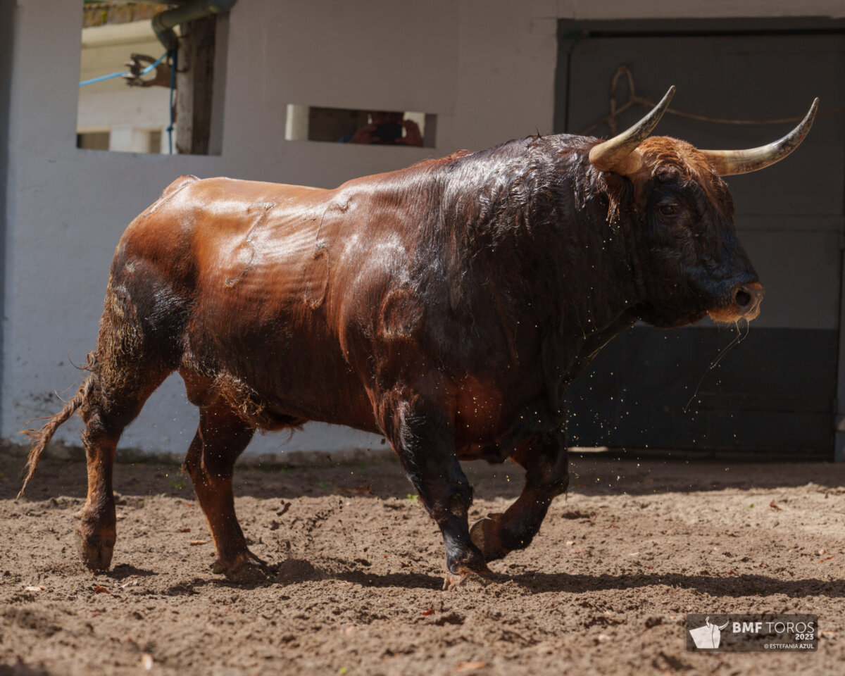 Fuente Ymbro, Fermín Bohórquez y José Cruz, en los corrales de Vista Alegre