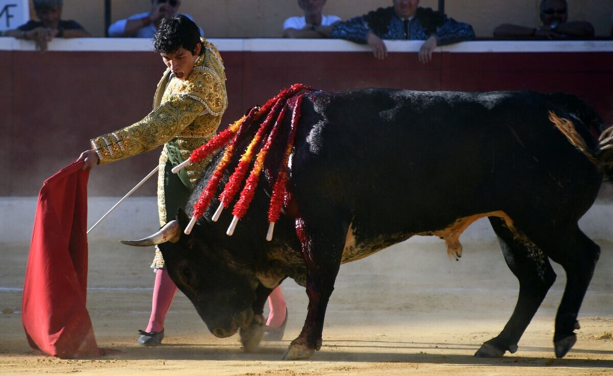Para casta la de Isaac Fonseca en Huesca