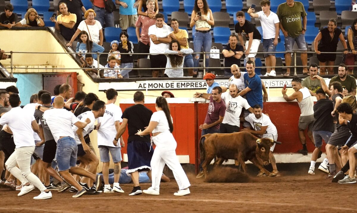 Espectacular regreso de las sokamuturras a Bilbao