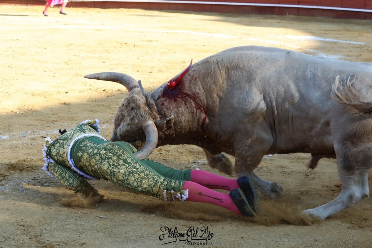 Alejandro Conquero, herido muy grave en Cenicientos; "cornada perianal posterior que diseca el recto a través del coxis"