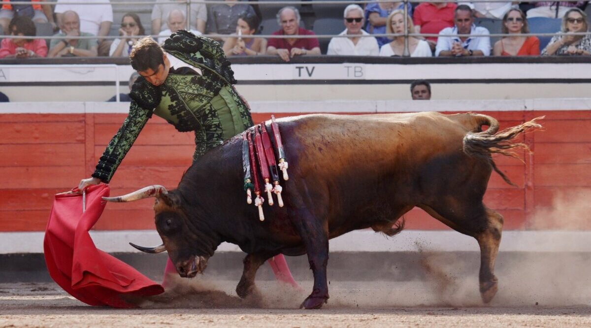 De Perera a Luque, noticias buenas y de las otras