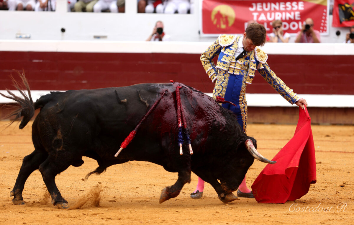 Descafeinado broche para una notable feria en Dax