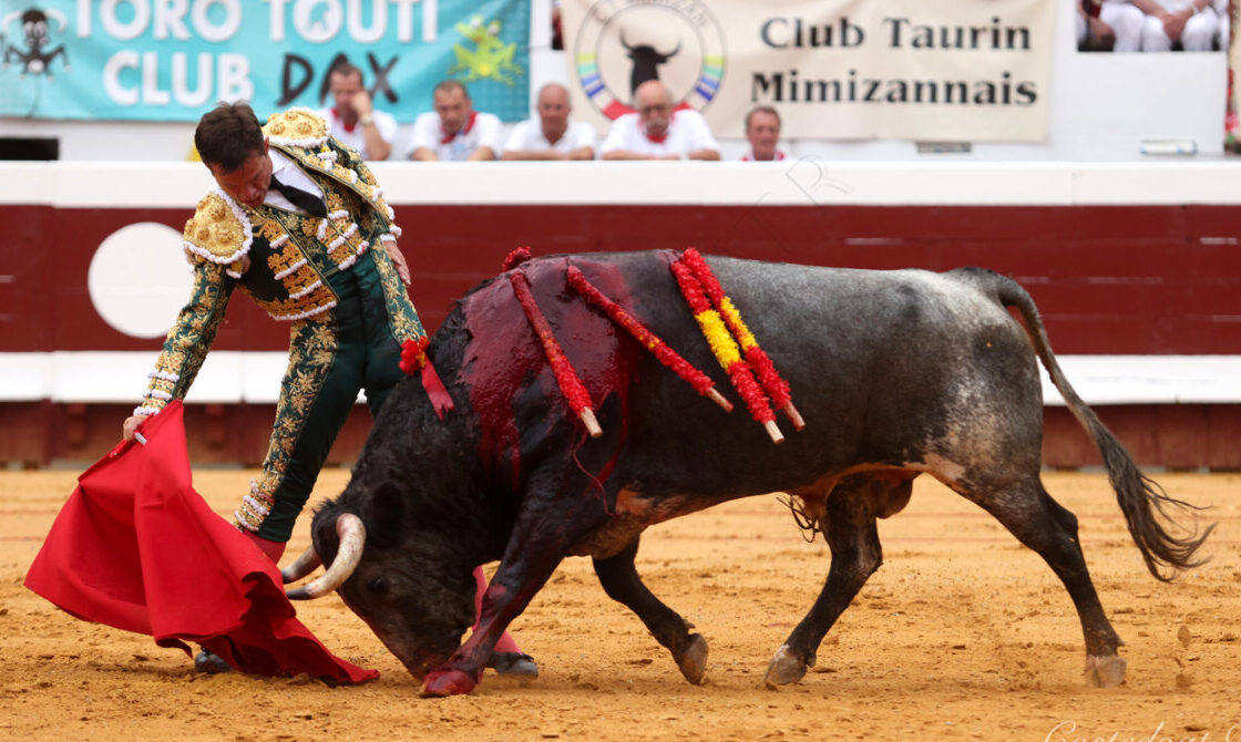 La capacidad de El Juli y una compleja corrida de La Quinta en Dax