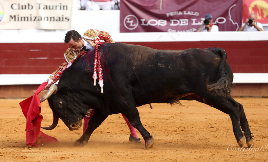 Más cuajo y kilos que bravura en los pedrazas de Dax