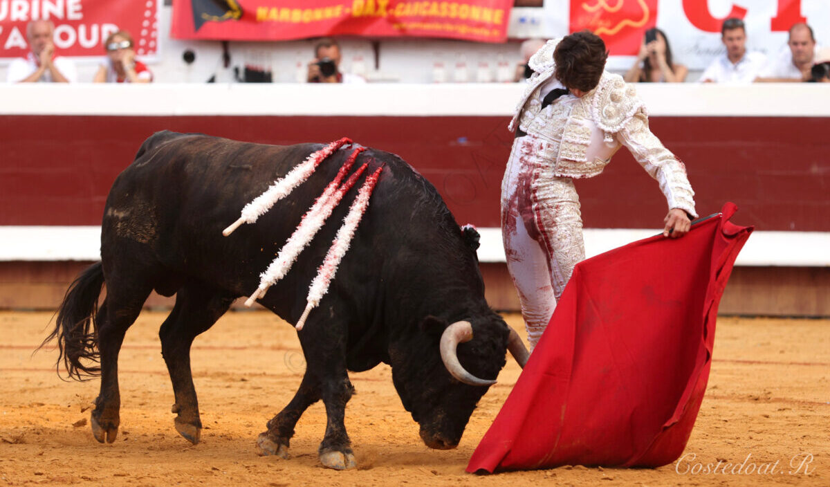 Un gran Sebastián Castella en Dax y un palco desconcertante