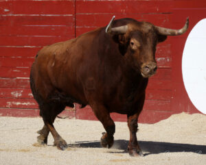 Foto: Roland Costedoat / Archivo