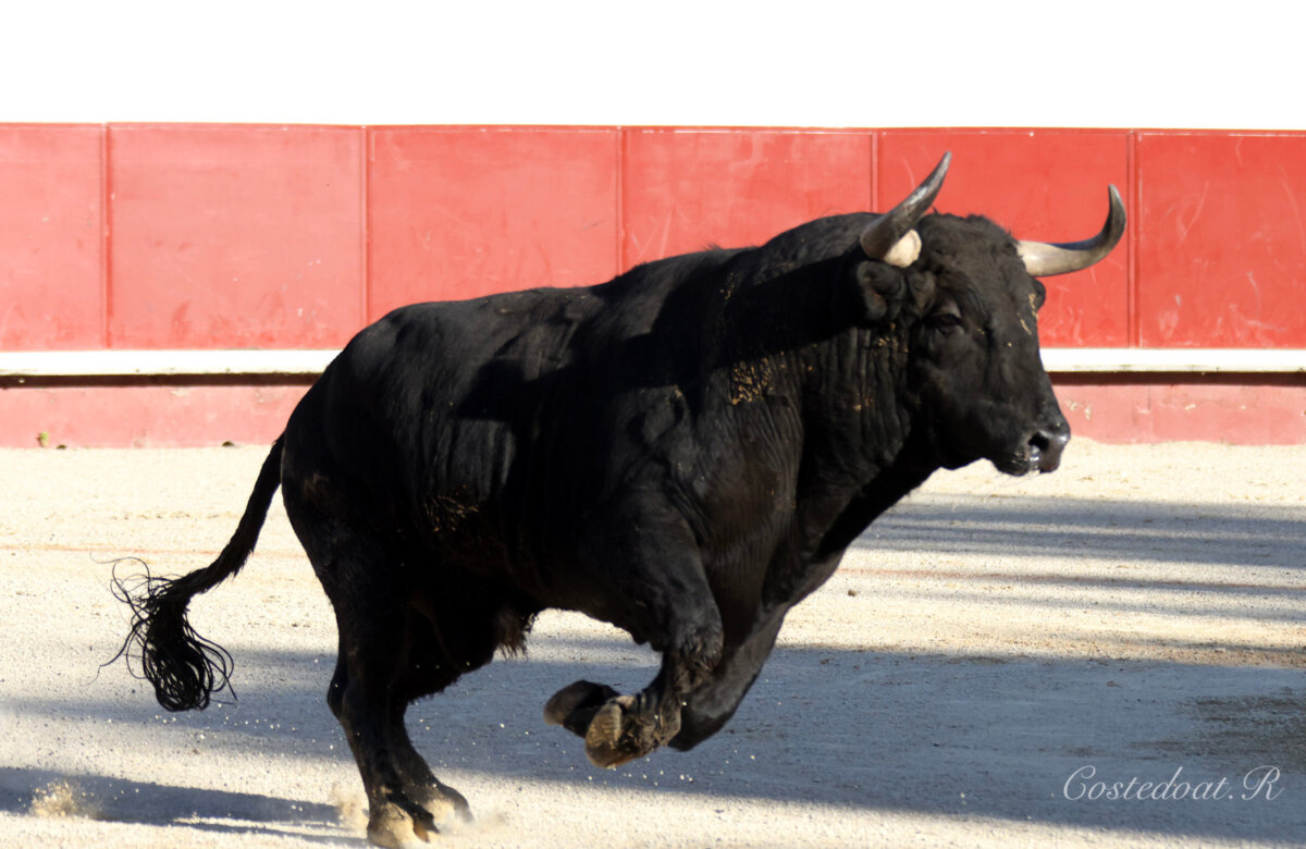 Foto: Roland Costedoat / Archivo