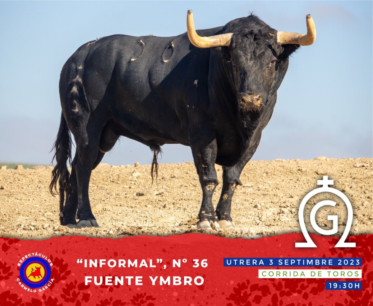 Estos son los toros de Fuente Ymbro para Utrera