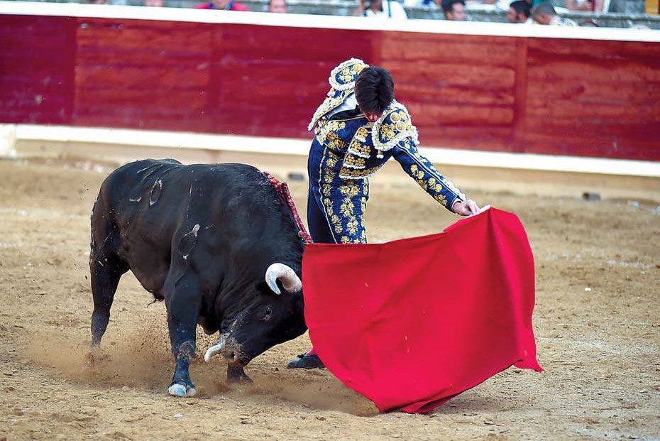 Esaú Fernández y la ganadería de Sobral, premiados en Tafalla