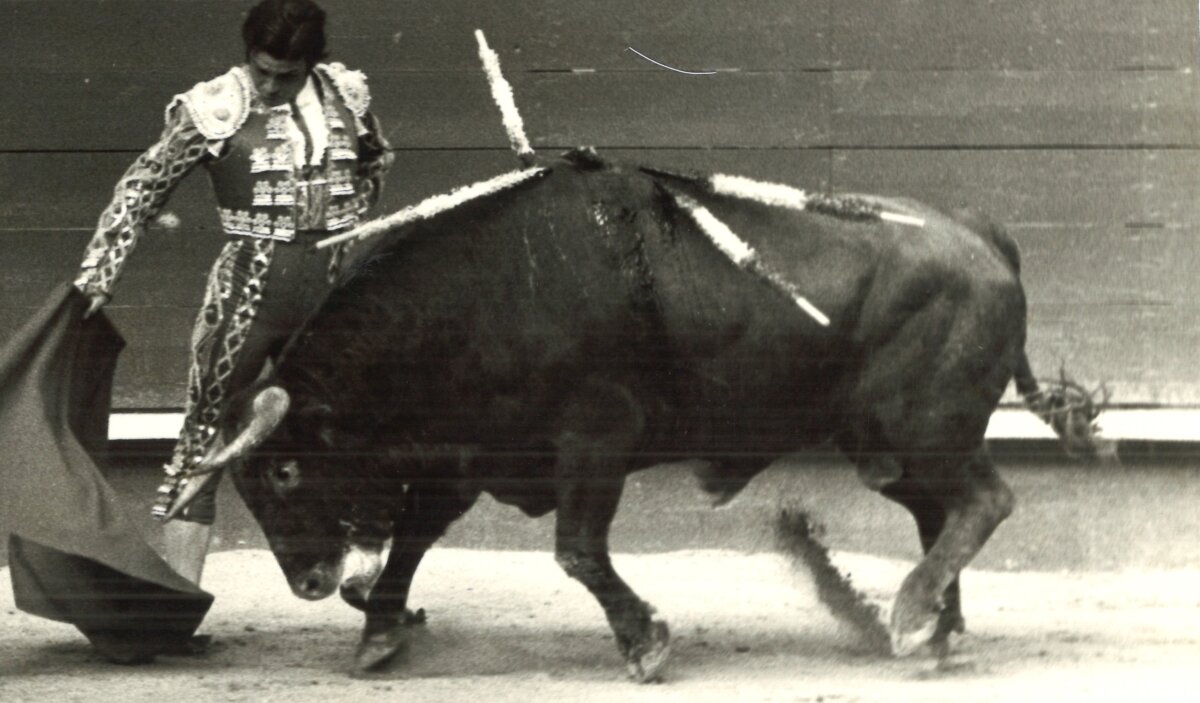 La carrera de Ricardo de Fabra, en imágenes