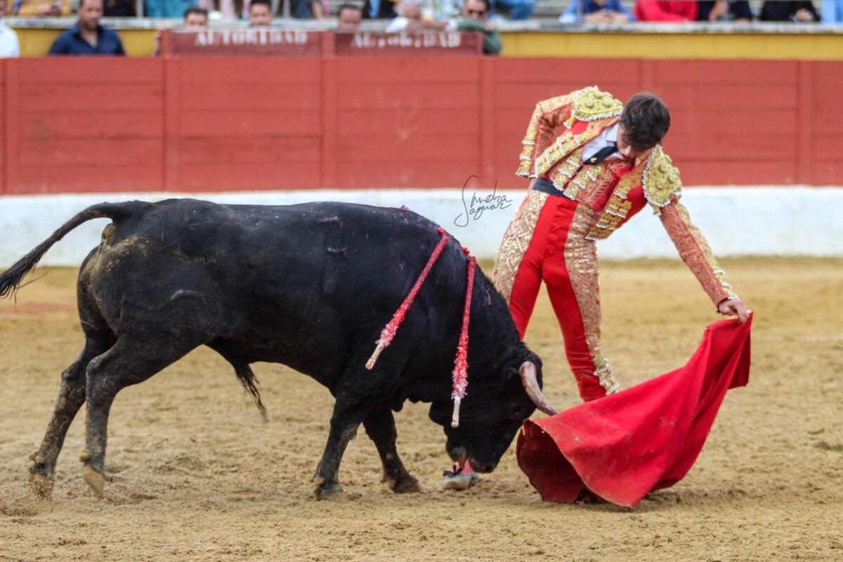 Chicharro, tarde de nota con tres orejas en San Agustín del Guadalix
