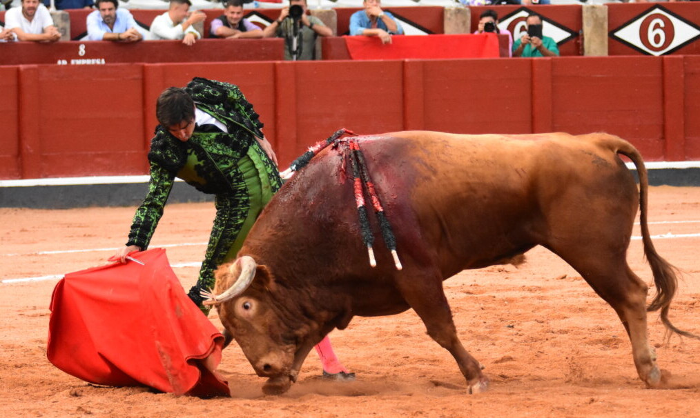 Madrileño, de Vellosino, Toro de Oro de la feria de Salamanca