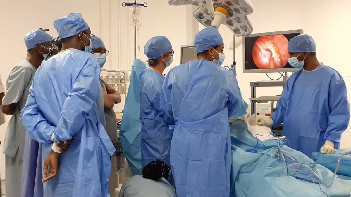 La Universidad de Valencia convoca un nuevo curso de asistencia a heridos en festejos taurinos