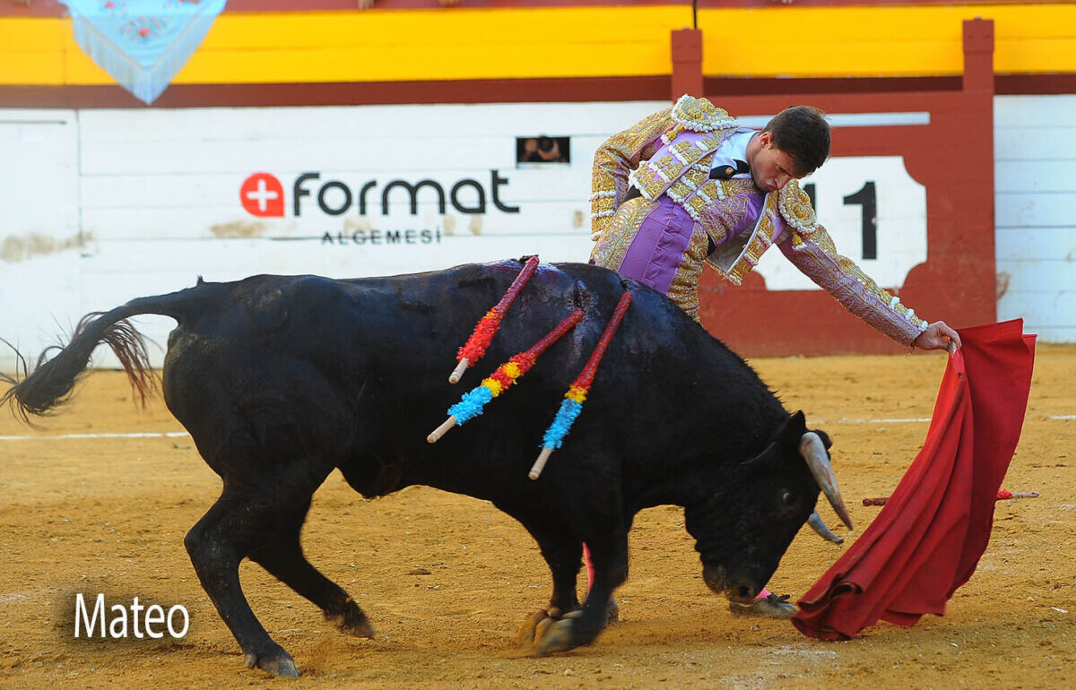 Vuelta al ruedo para Sergio Rodríguez en tarde sin espadas en Algemesí