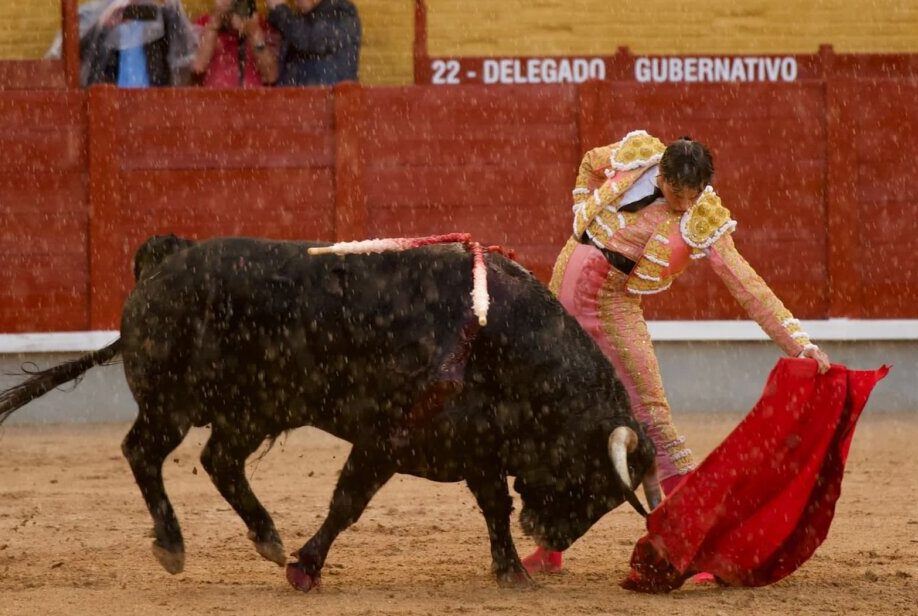 Manzanares, Roca Rey y De Manuel, locura bajo el diluvio en Guadalajara