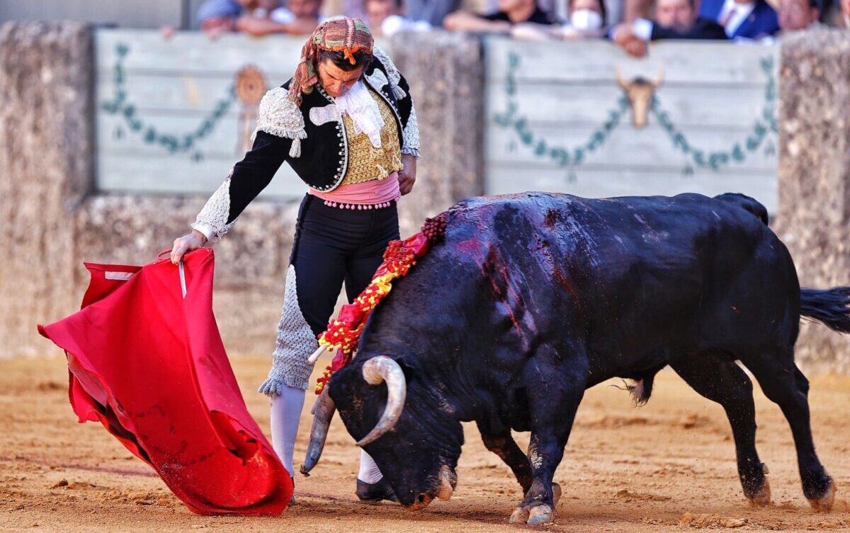 Morante, obligado a parar nuevamente la temporada "por lo menos hasta el 21 ó 22 de septiembre"