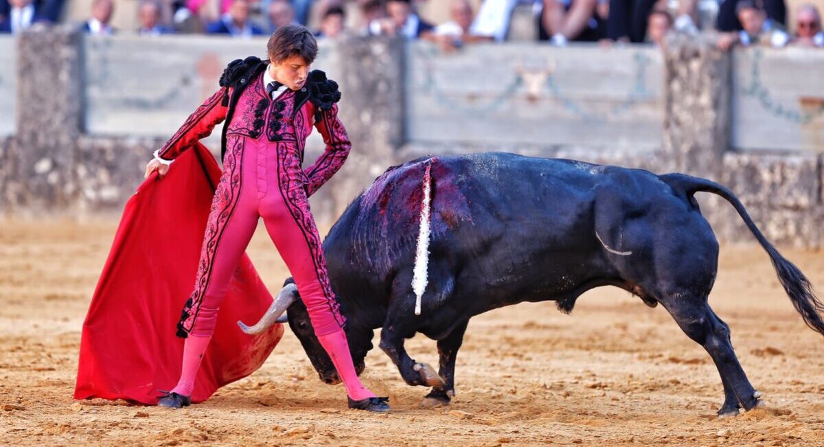 Roca Rey, baja este viernes en Valladolid "debido a una limitación de la movilidad de la pierna derecha"