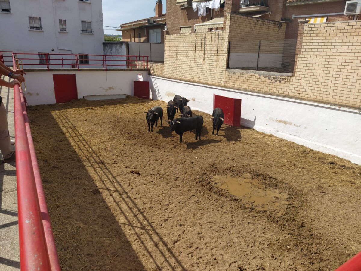 Raso de Portillo acapara los premios ganaderos de Peralta