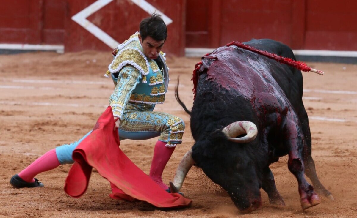 De la pasión de una tarde gloriosa... a la emoción del adiós; así fue el triunfal cierre de feria en Salamanca