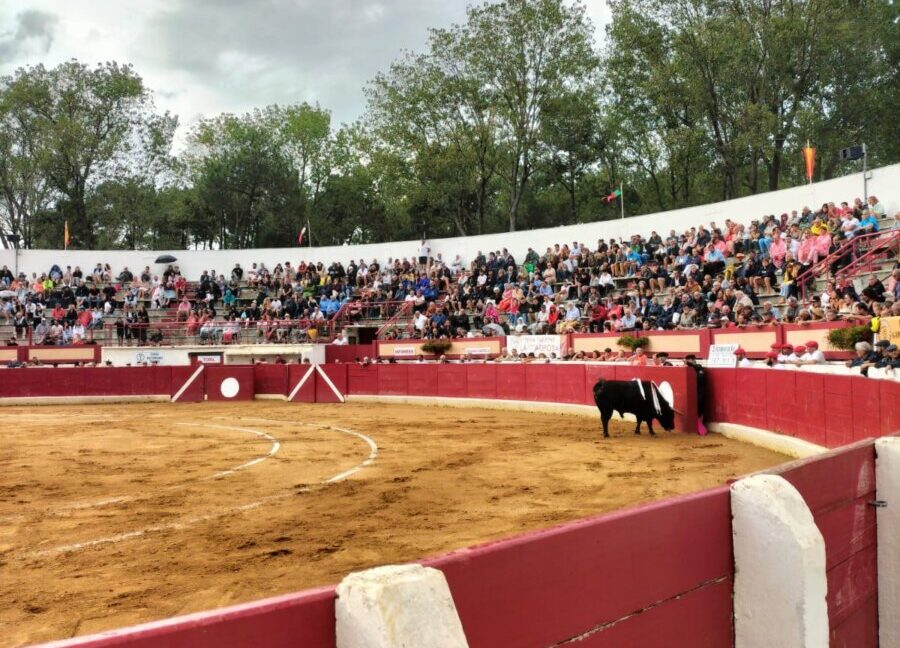 Vieux-Boucau apuesta por un mano a mano para septiembre