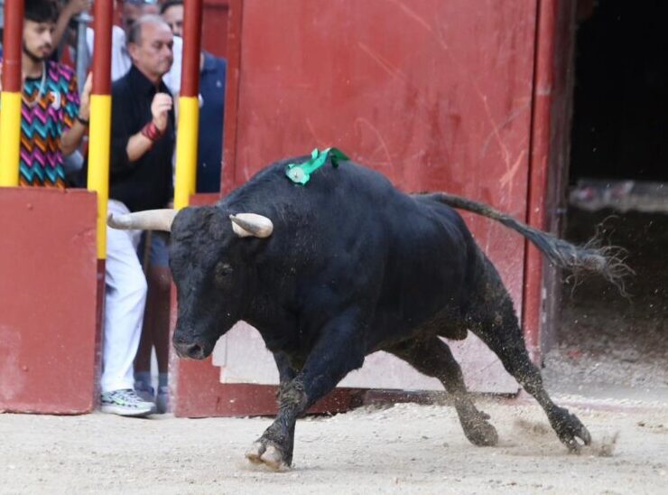 Fuente Ymbro, casta y seriedad en Arganda del Rey